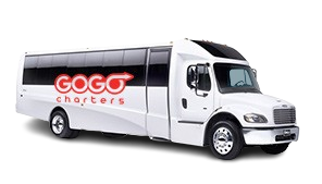 18 Passenger Minibus