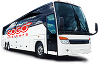 56 Passengers Charter Bus