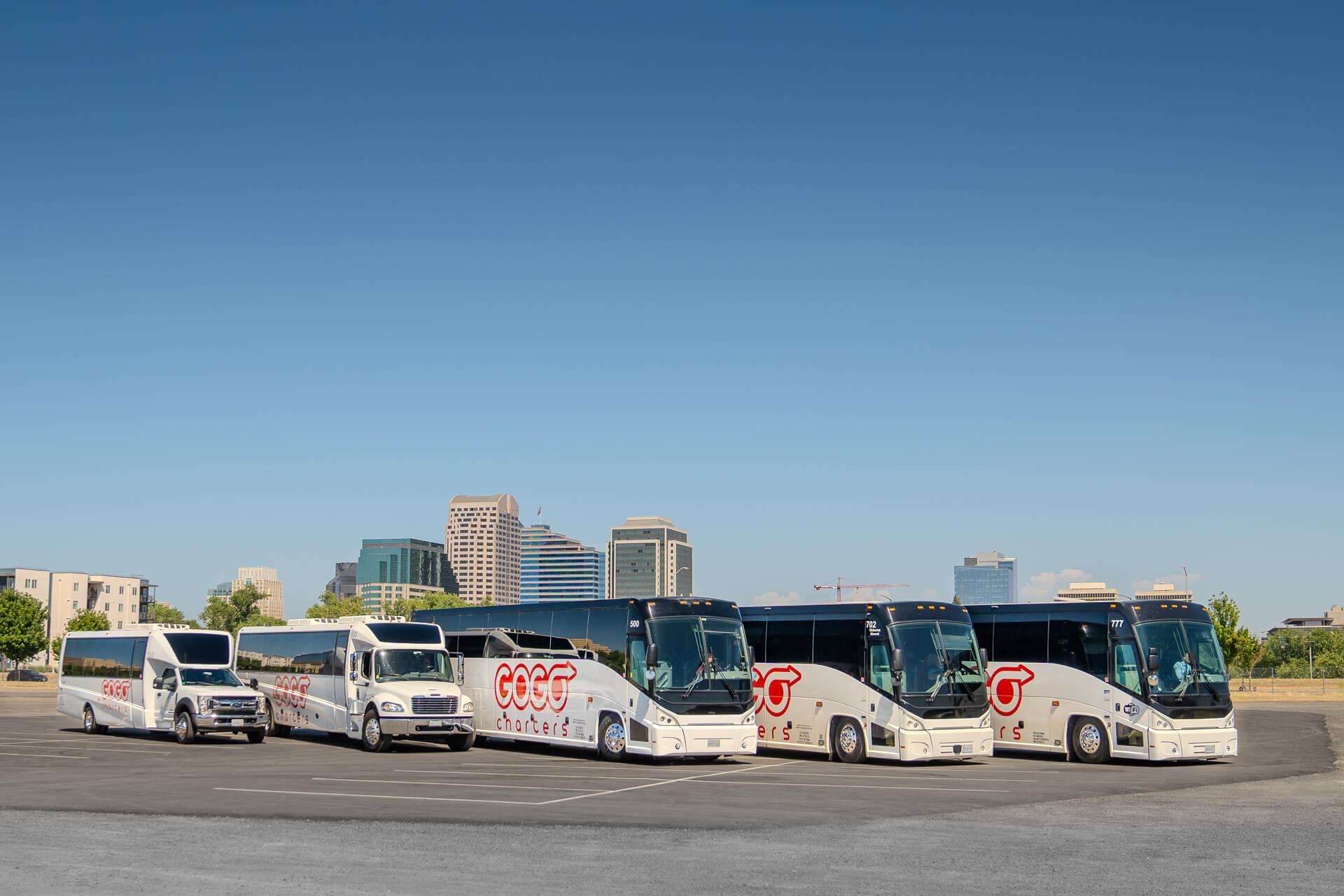 A fleet of Charter Buses with the GOGO Charters Logo