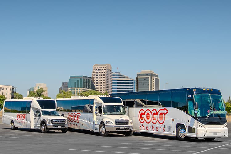 A lineup of white bus rental options in a parking lot, all with the GOGO Charters logo on their sides