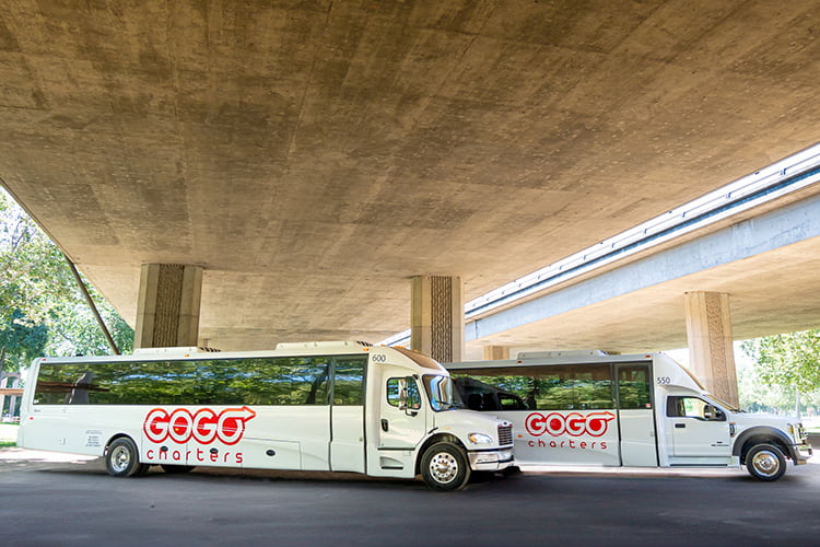 Two minibuses branded with GOGO Charters logos park under an overpass in a city