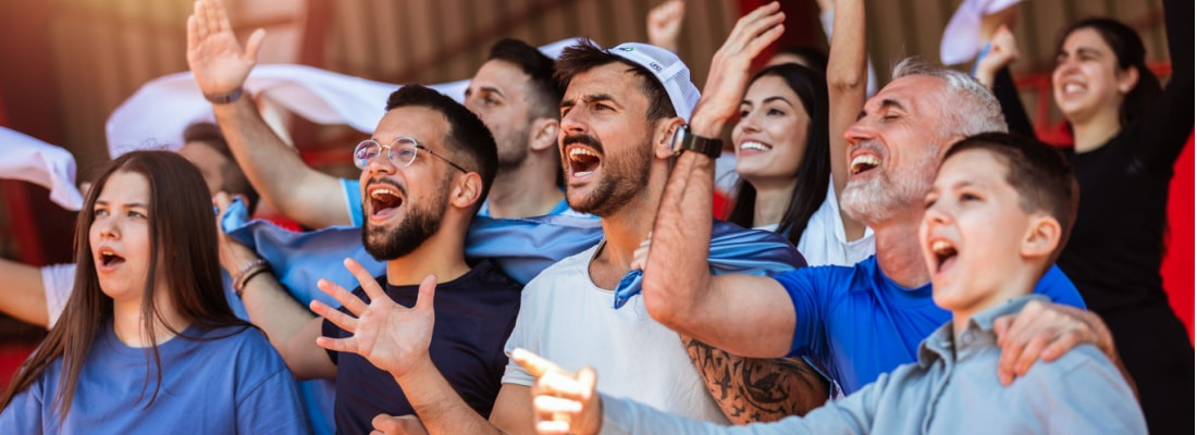 sports fans cheer during a game