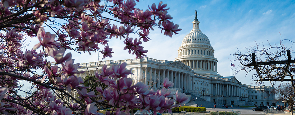 Charter Bus in Washington D.C.