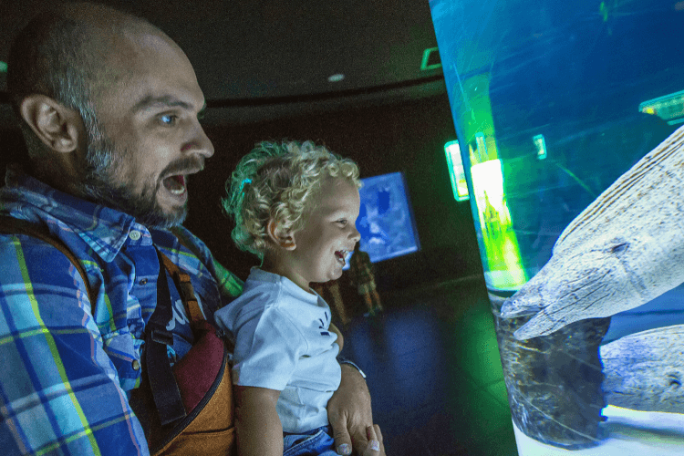 a man and child look at a fish in the georgia aquarium