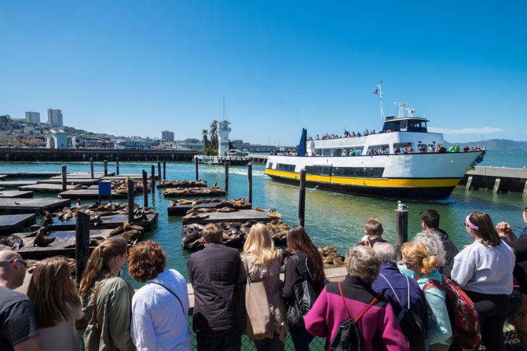A group of tourists watch seals at Fisherman's Wharf