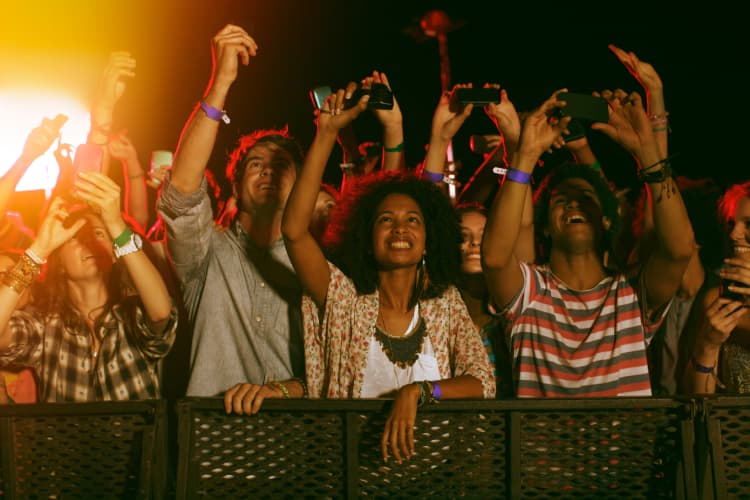 concert attendees put up their hands and cheer during a show
