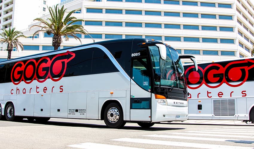 Two GOGO Charters branded charter buses drive on a busy street