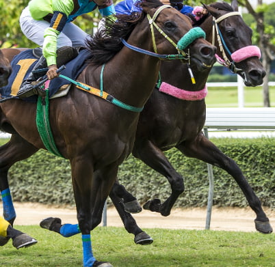 Kentucky Derby